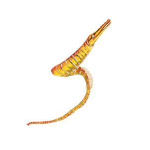 Snake pipperfish